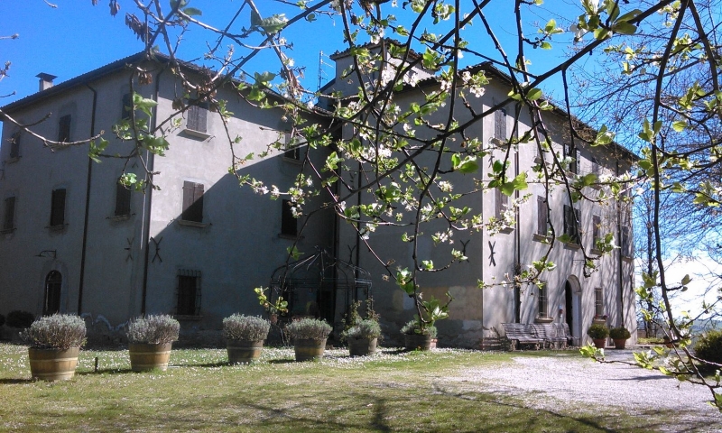 corsi